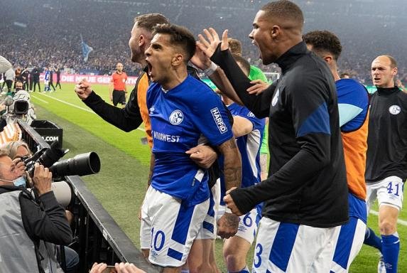 Schalke 04 2021/22 Original Home Shirt Size M - Shorty Football Shirts