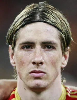 Fernando Torres